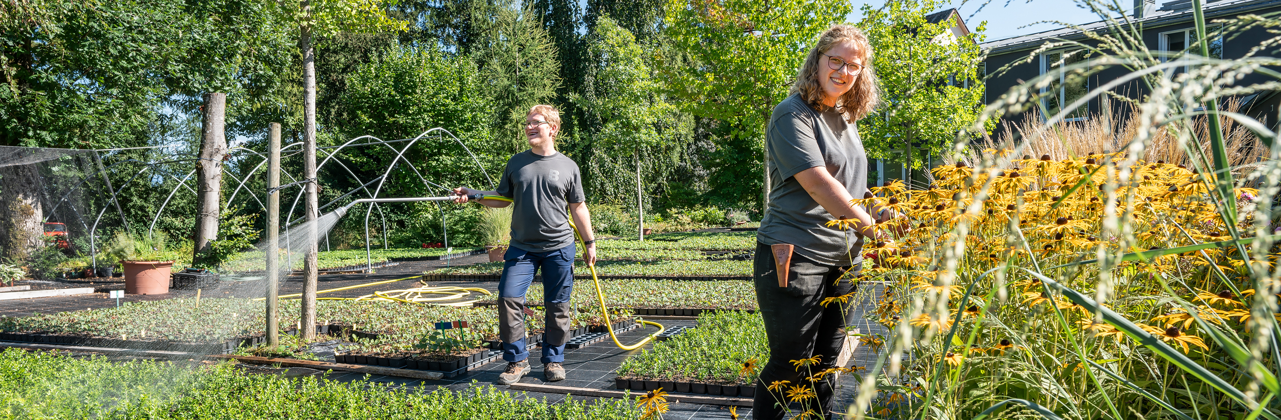 stiftung brunegg produktionsgärtnerei